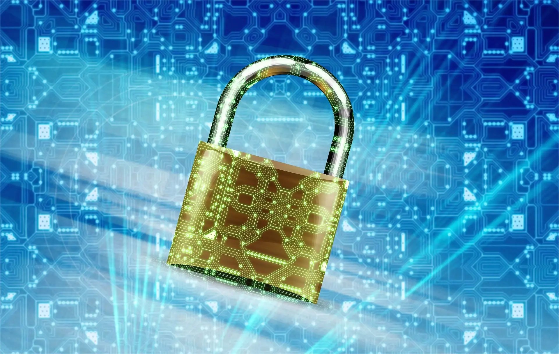 Privacy-Policy