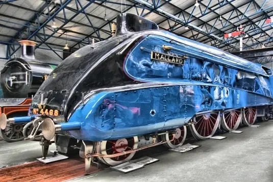 Mallard_535x356_HD