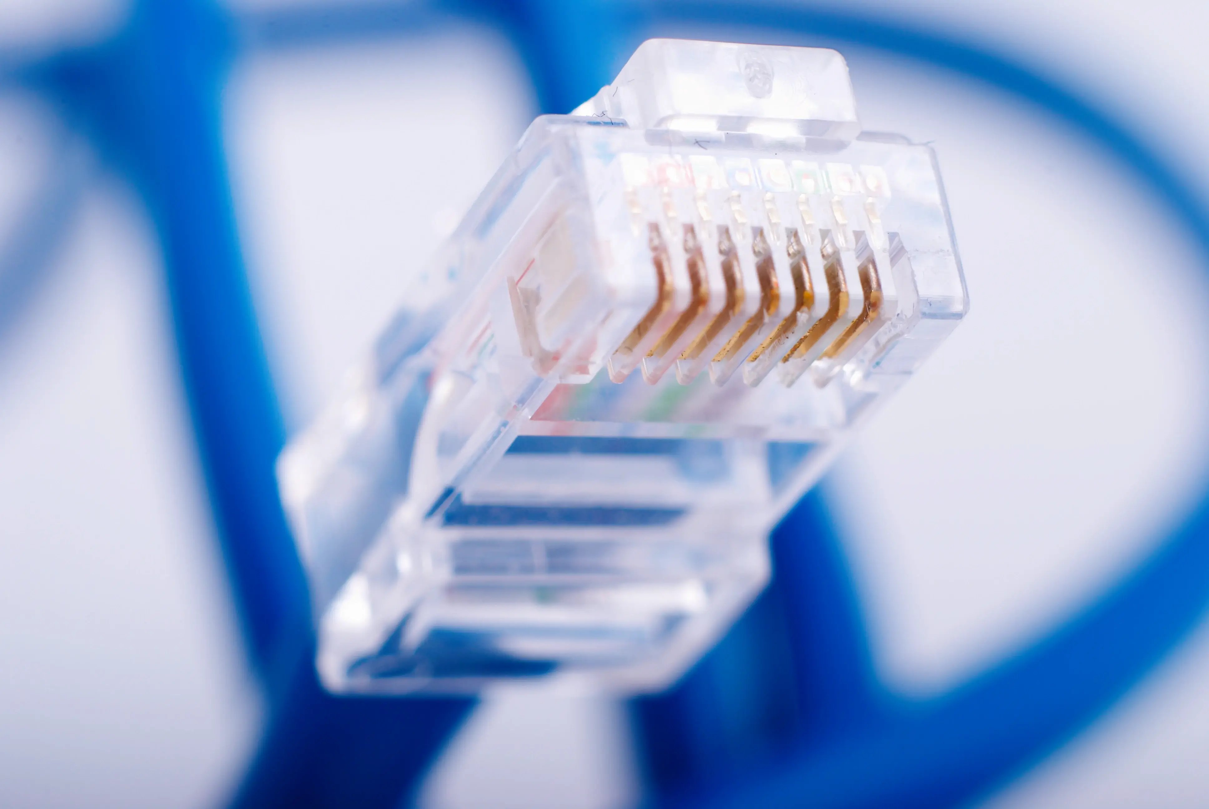 clear-connector-on-a-blue-network-cable-2026-03-20-04-31-30-utc