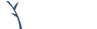 Cedar Telecom Logo